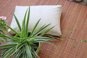 Silk Sleep Pillow, Ahimsa (Non-Violence) Eri Silk - Yogic Pillow For Healthy Hair & Skin/Filling (Organic Buckwheat/Organic Cotton)